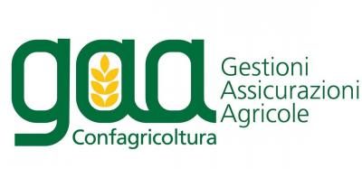 gaa