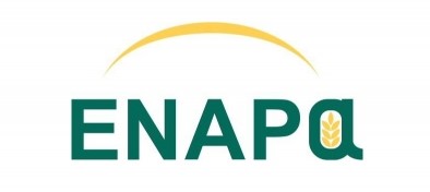 logo_enapa[1]