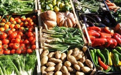 Vendita-prodotti-agricoli
