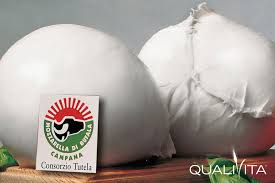 mozzarella